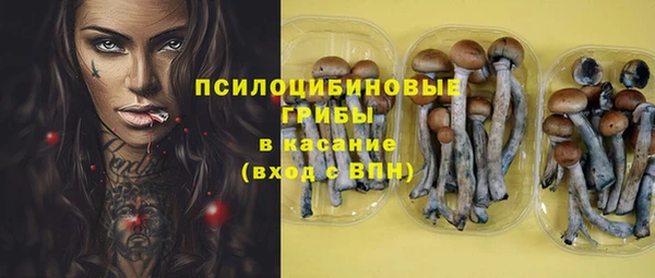 прущий лед Лиски