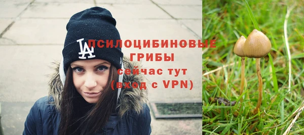 прущий лед Лиски