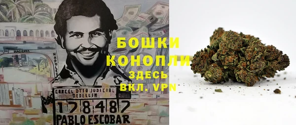 ПСИЛОЦИБИНОВЫЕ ГРИБЫ Шарыпово