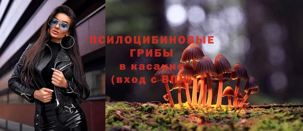 дурь Липки